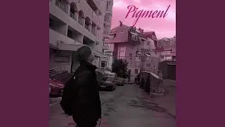 Pigment