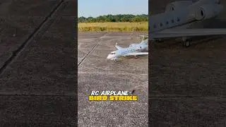 RC Private Jet has a SIMULATED Bird Strike 🤯