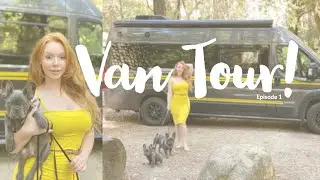 Austin White's The Van Tour! See What I'll be traveling in!