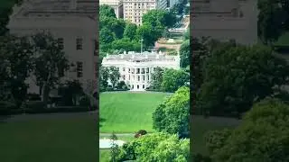White House USA From Washington Tower #whitehouse #usa #washington #dc #aerial