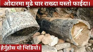मौरीको घार बढाउने तरिका||Madhuri Palan in Nepal Bee Farming @MinuBudha