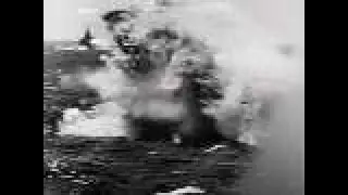Kamikaze Attack at Okinawa: The Devastating Destruction | Georgia in WWII