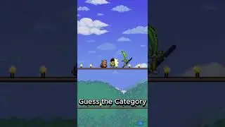 Guess the Terraria Category #terraria #trivia