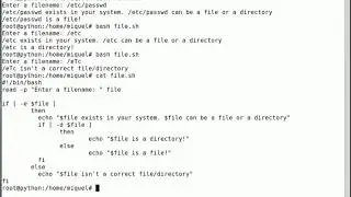bash - check if  an input string is a directory / file or nothing