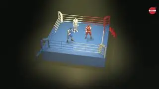 Boxing rule regulations