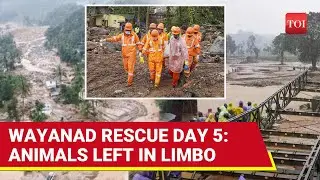 Kerala Landslides: 340+ Killed, Indian Army Deploys Deep Search Radars; Wayanad Victims Traumatised