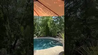 Backyard with pool #backyard #pool #openhouse  #shorts #short #shortfeed