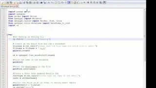 Python Openpyxl Pandas Data Frame .XLSX Files