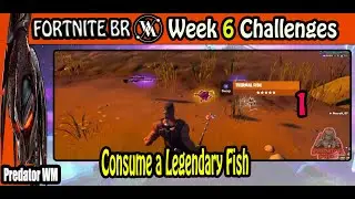 Consume a Legendary Fish / Week 6 Challenges