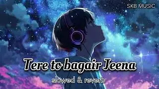 SKB MUSIC NEW LOFI SONG 🎵 🎶 | TERE TO BAGAIR JEENA 💔😔 | 2026 SONGS | #sad #sadmusic #lofimusic #love