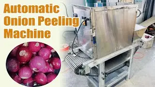Automatic Onion Peeling Machine | Fast, Clean & Efficient Processing#onion #peeling #peeler