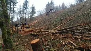 Cat 568 log loader shovel logging