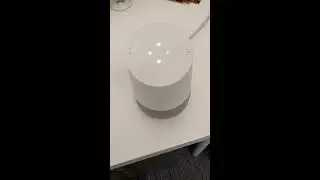 Google Home believes in conspiracy theories
