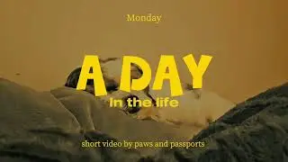 A Day in the Life | Cooking, Fishing, Travel, Pets and more 🥘 🐾 🎣 🏋️&zwj;♂️ 🚗