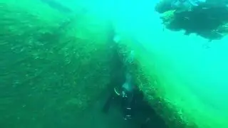 Scuba Diving the Prins Willem V GoPro Hero 3