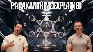 Paraxanthine: Everything You Need to Know
