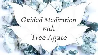 🙏 TREE AGATE Meditation 🙏 | Stone of Plenty | Crystal Wisdom Guided Meditation