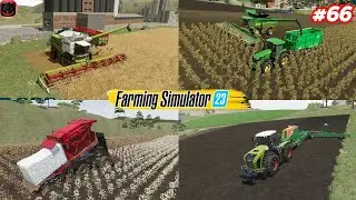 Let's Play Fs23 Neubrunn- 1,60,000L SUNFLOWER 🌻 & OATS & COTTON HARVESTING IN FS23|#66|