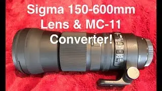 Sigma 150 - 600mm Lens | Sigma MC 11 | Sony a6000 | Review