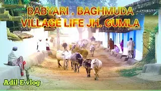 Jharkhand village life style||Adil E vlog||Village Bam Bihari Baghmuda village||Gumla Basiya#vlog