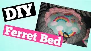 DIY Ferret Bed