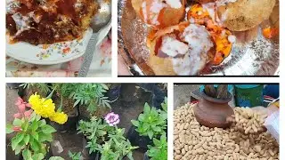 Unty Ke Ghar Gae Ghumne! Enjoy Kiya Chat Khae
