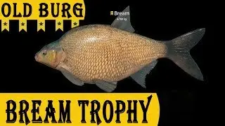Old Burg Lake - Bream Trophy [Russian Fishing 4]
