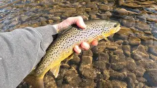 Lehigh River Fly Fishing. Part 1