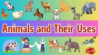 30 Animals and Their Amazing Uses for Kids | Animal Helpers Around Us!