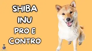 Shiba Inu: Pro e Contro