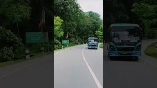 Kaziranga Road Trip 🐘 | Explore Kaziranga National Park Safari | Assam Travel Vlog #shorts