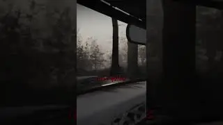 Что-то наблюдает из-за деревьев... #ЖуткаяЗагороднаяМесто #жуткиеИстории