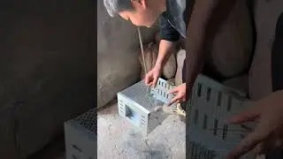 If there are mice at home, use this automatic mouse cage to enter automatically, and you can&rsquo;t get