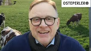 OSTEPERLER smaker J&aelig;rsk Havsletteost