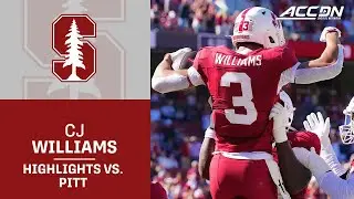 Stanford WR CJ Williams Highlights vs. Pitt