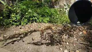 Some slow motion tests 