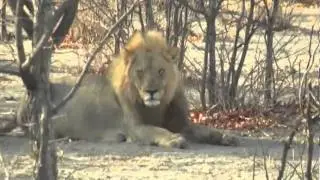 Self Drive and Safaris Across Namibia