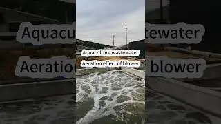 Aeration effect in the aerobic tank of livestock wastewater using a blower #blower