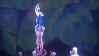 Mystere - Korean Plank