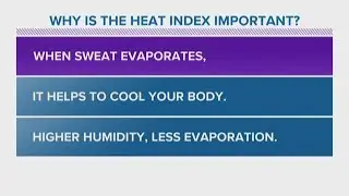 Bob's Weather Whys: Why is the heat index important