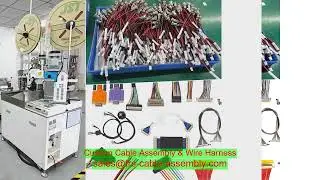Factory 20 Pin Molex 5557 Connector Electric Wire Harness Engine Parts Gasket 212-7728 of C13