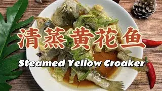 Steamed Yellow Croaker Done Right! 黄花鱼这样蒸最营养！