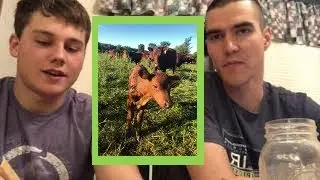 Spring vs Fall calving