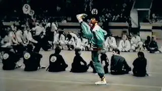 Grandmaster John Cheng performing Wah Lum Mantis [Archive Footage]