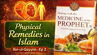 Physical Diseases & Their Remedies 🩺💊 | According to Ibn-ul-Qayyim | Ep 2 | جسمانی بیماریوں کا علاج