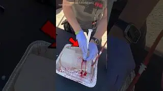 #alizasehar