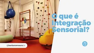 O que é Integração Sensorial