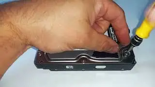 1000Gb HDD Western   🛠 hard drive disassembly