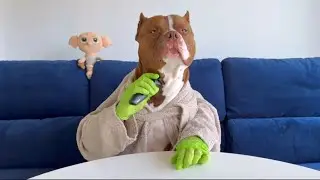 A Real Gentleman&rsquo;s Morning Routine