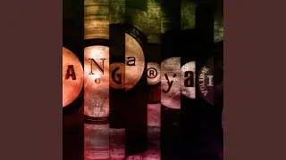 Kavga Var